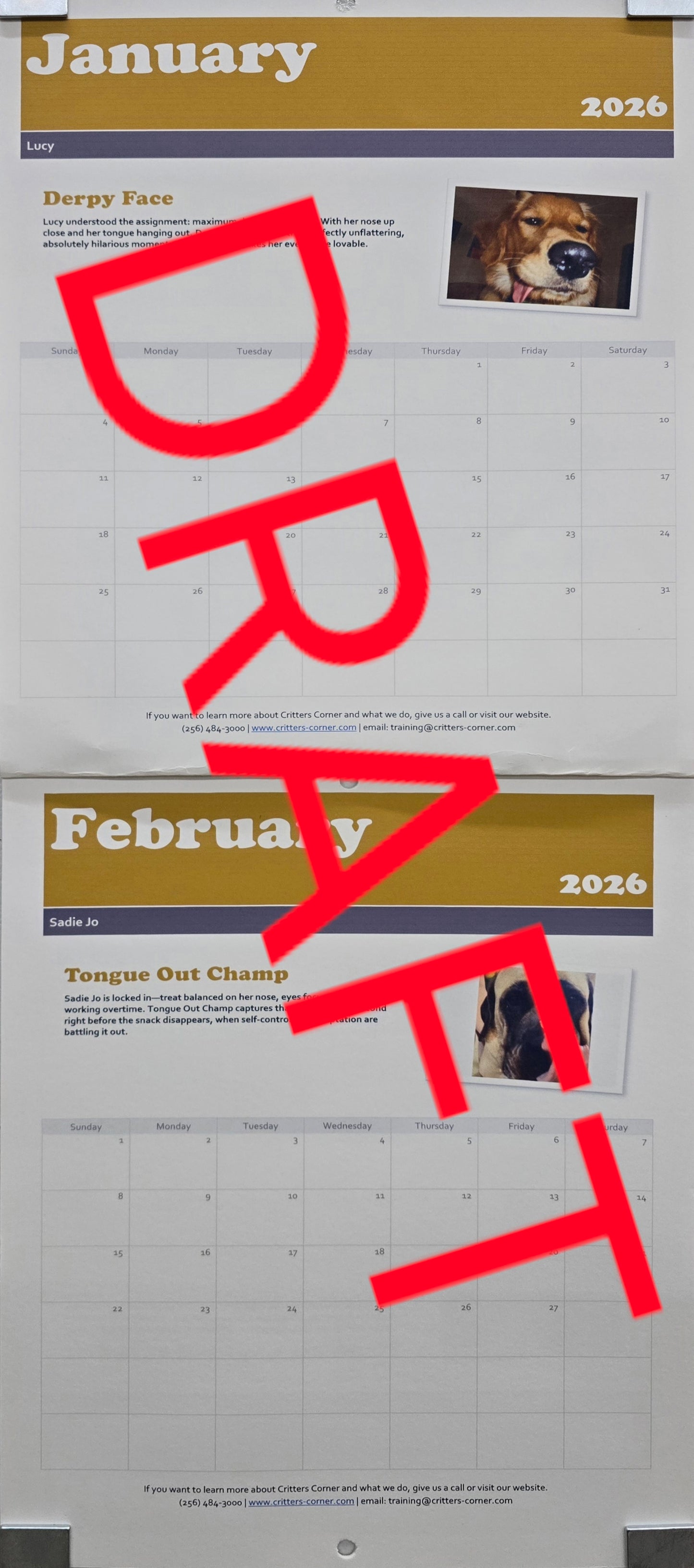 Critters Corner Silly Calendar 2026