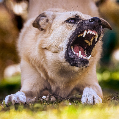 Behavior Modification